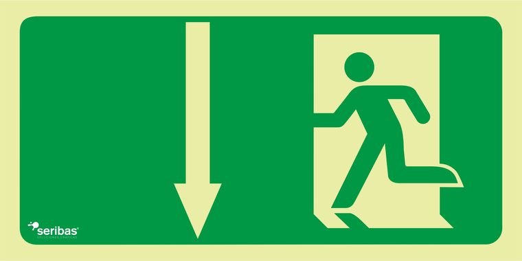 Señal de señales de evacuación EV015: FLECHA ABAJO
