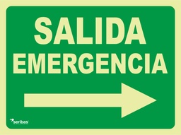 [EV044] SALIDA EMERGENCIA FLECHA DERECHA EV044